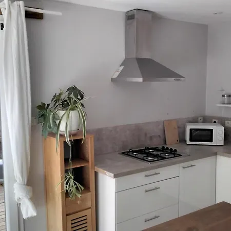 Studio Centre Vallon Jardin Parking 800M Marche Riviere Et Commerces Holiday home *