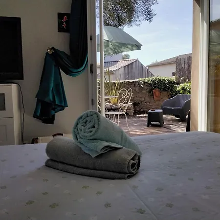 Studio Centre Vallon Jardin Parking 800M Marche Riviere Et Commerces *